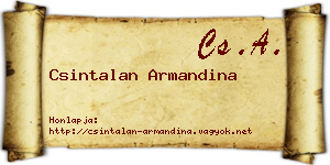 Csintalan Armandina névjegykártya